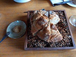 20221116_PXL113220729_Pixel3a-JEB